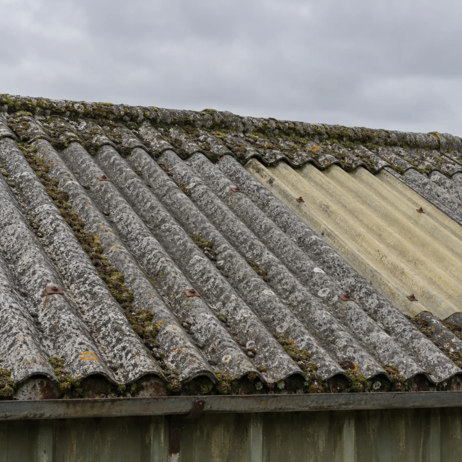 Weathered corrugated asbestos cement roof sheeting with moss along the laps and an aged rooflight panel